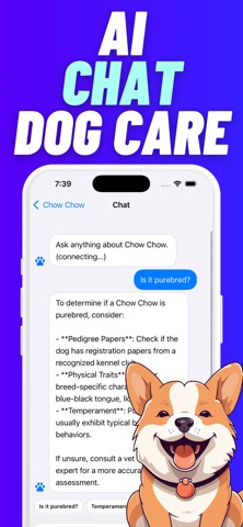 Dog Breed Identifier: Pawfect Screenshot 3 of 4