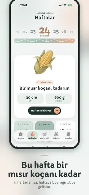 Dokuzay: Gebelik Takibi screenshot 4