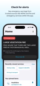 Govt.nz screenshot