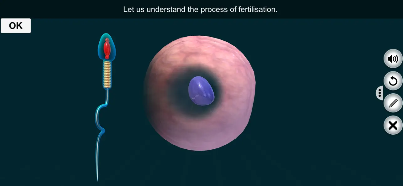 Screenshot #1 pour Fertilisation - EduTech Era