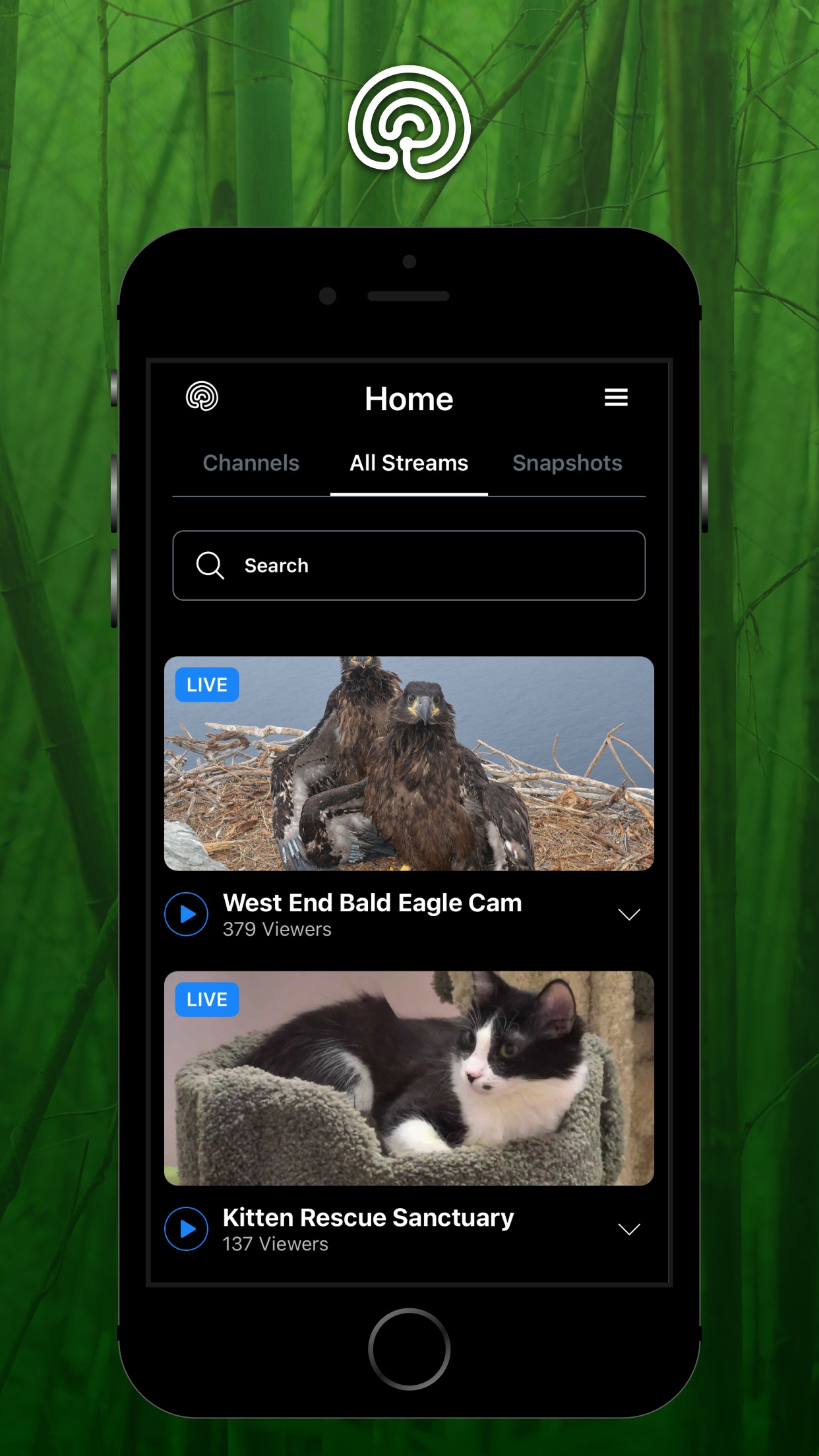 explore.org screenshot 6