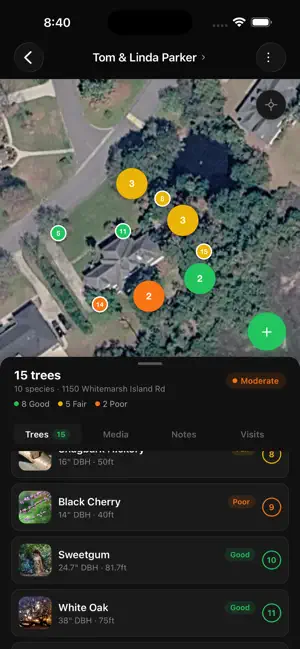 Tree Inventory AI screenshot 2
