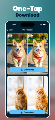 Presets for Lightroom : LRP AI iPhone screenshot