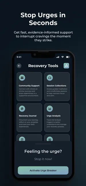 Incumental screenshot 2