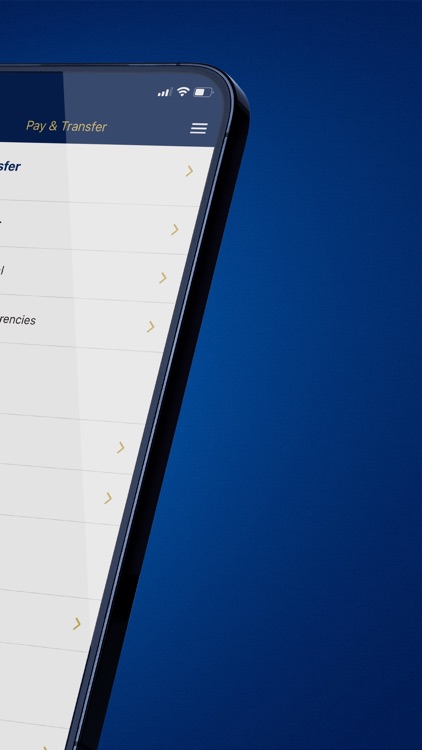 SafraLink screenshot-8