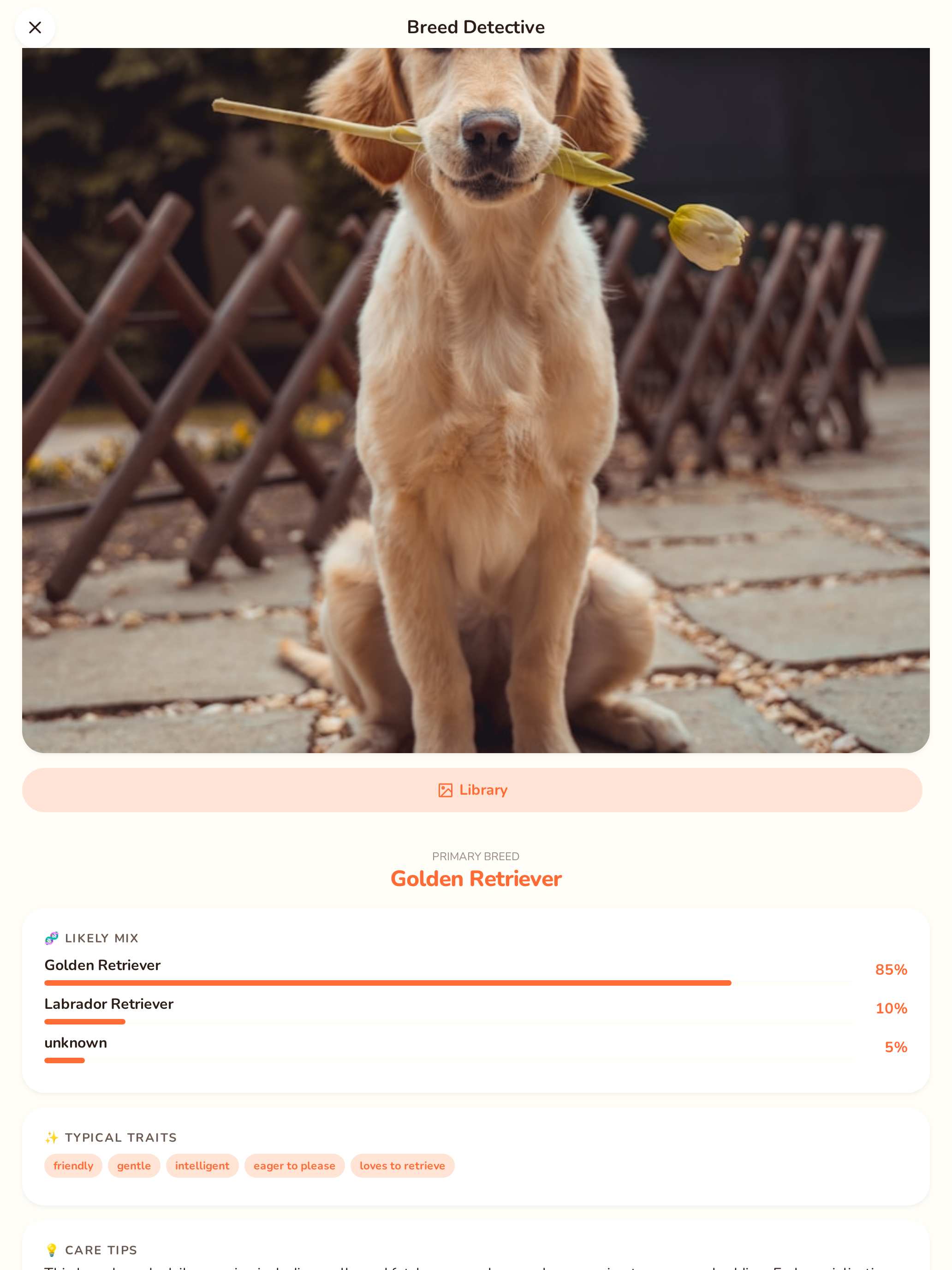 Clever Canine screenshot 9