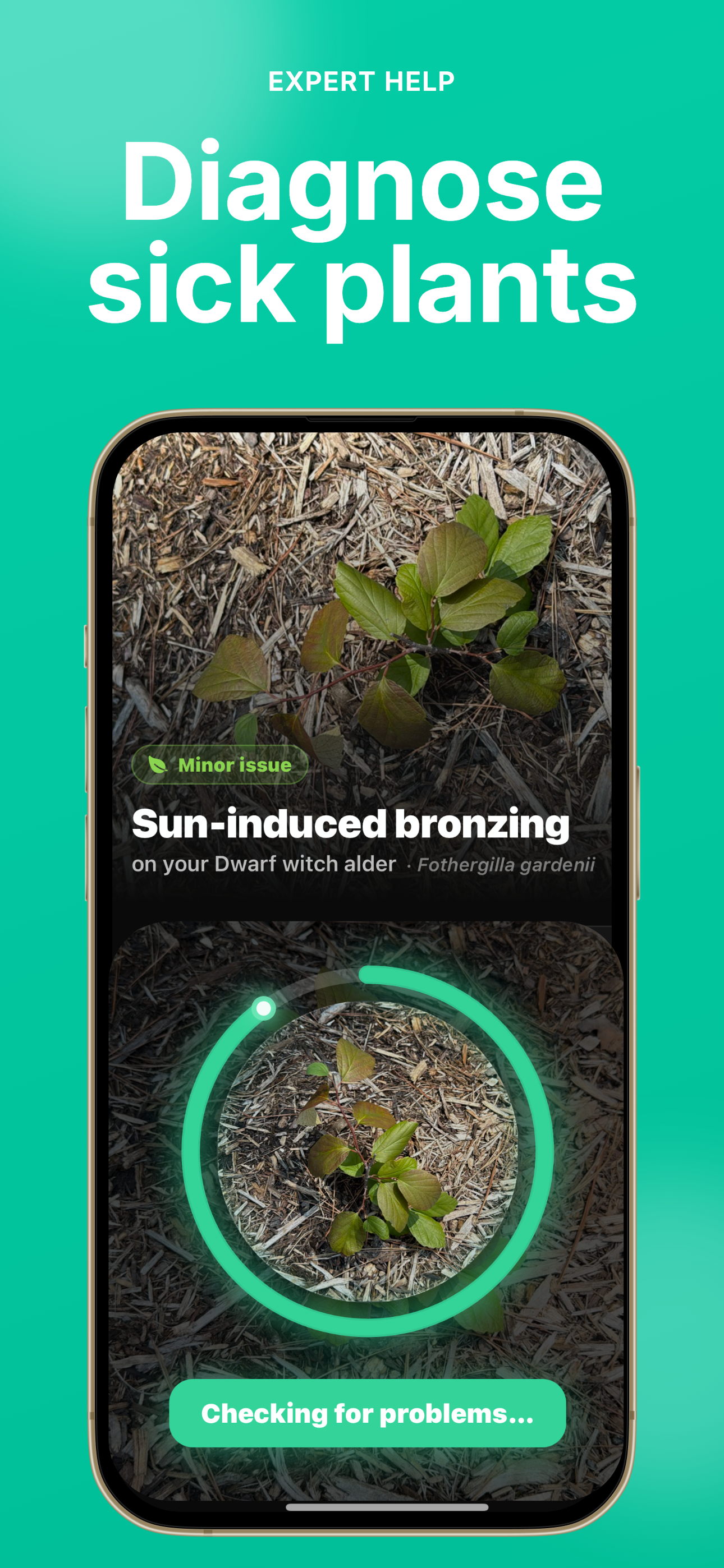 Sow: Garden & Landscape Design screenshot 4
