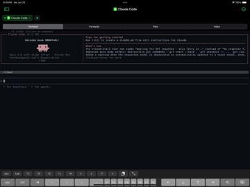 TermX SSH ipad screenshot 2
