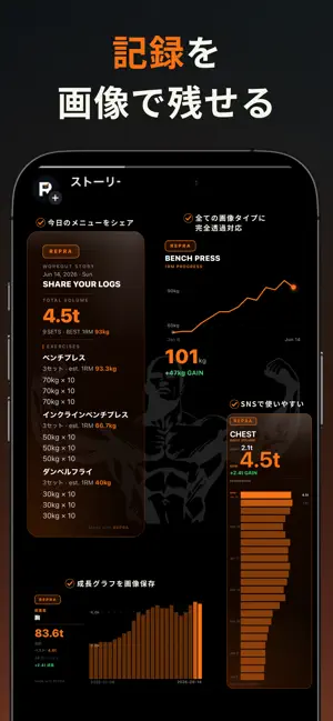 REPRA screenshot 2