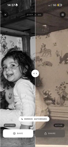 Old Photo Restorer AI screenshot