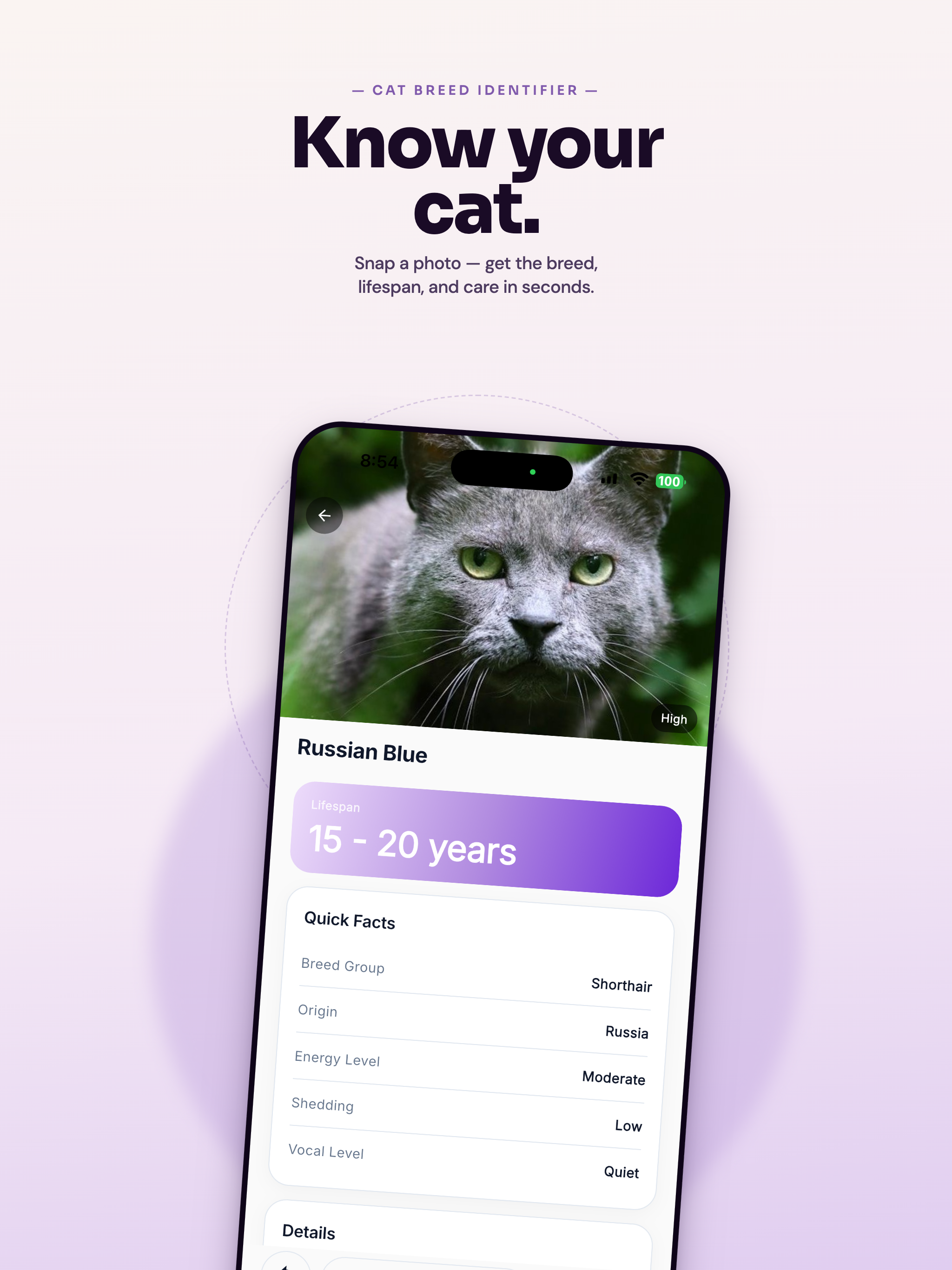 Cat Breed Identifier & ID Scan