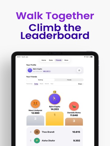 StrideWise: Step Counter iPad screenshot