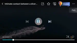 aha earth screenshot 4