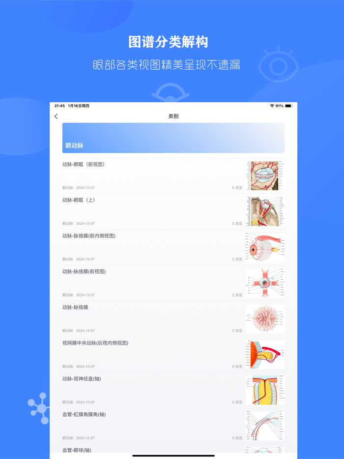 眼部解剖图 - 眼部结构精美全息科普插图