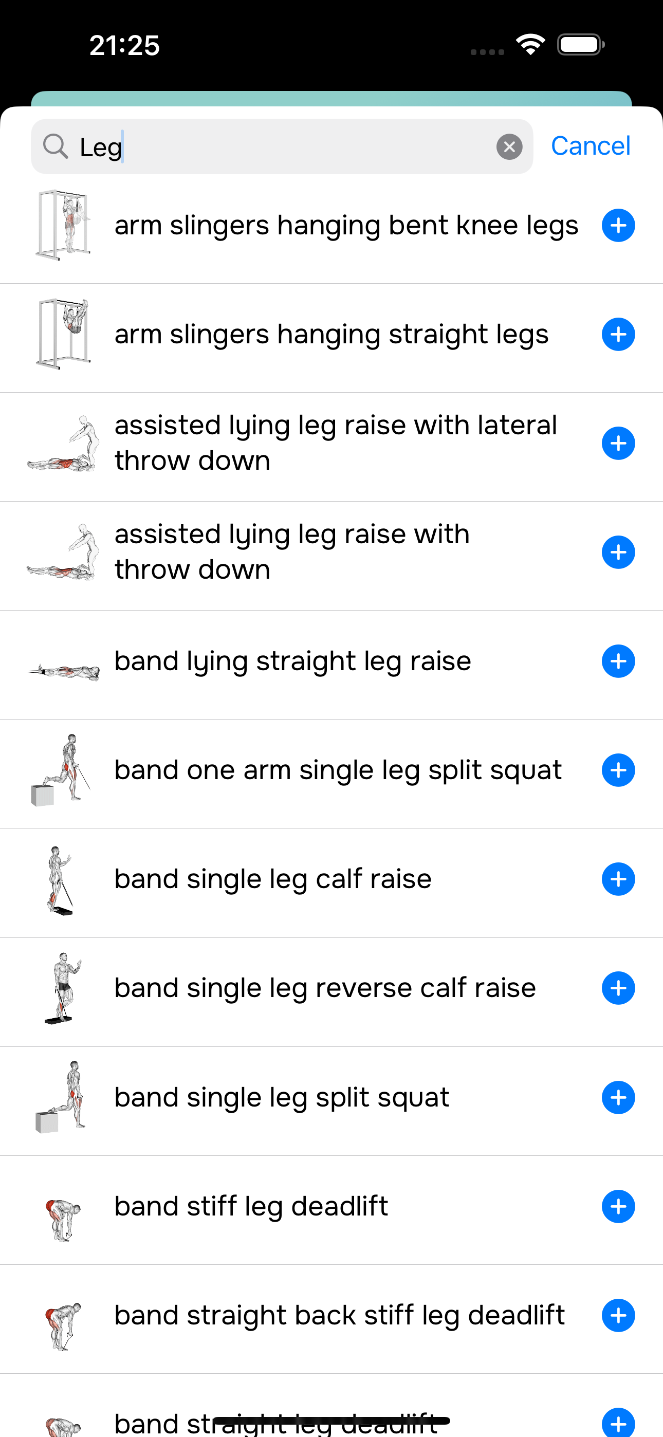 My Fit Plan