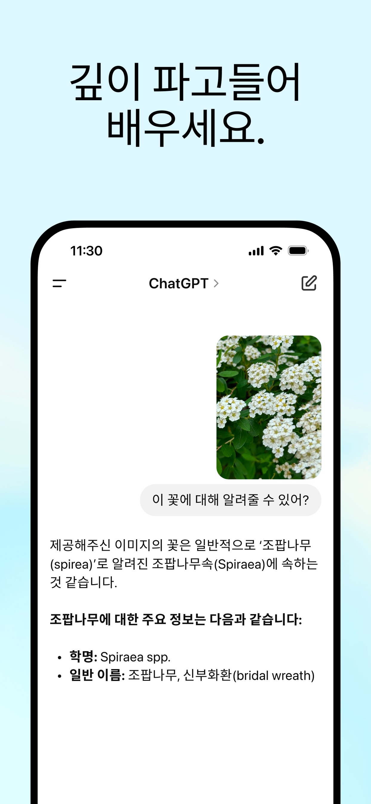 ChatGPT 스크린샷 4