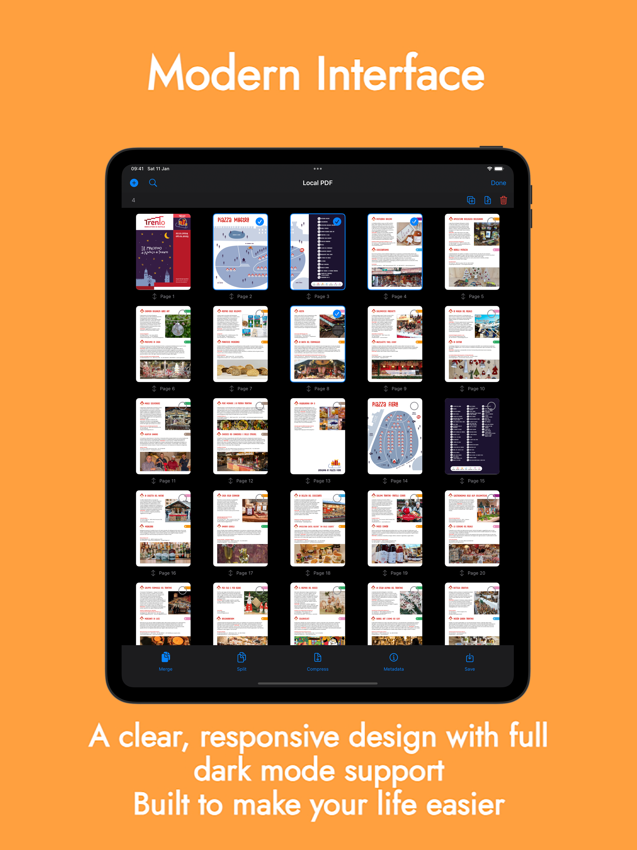 Local PDF screenshot 12