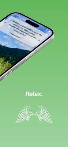 BiblicalFocus screenshot