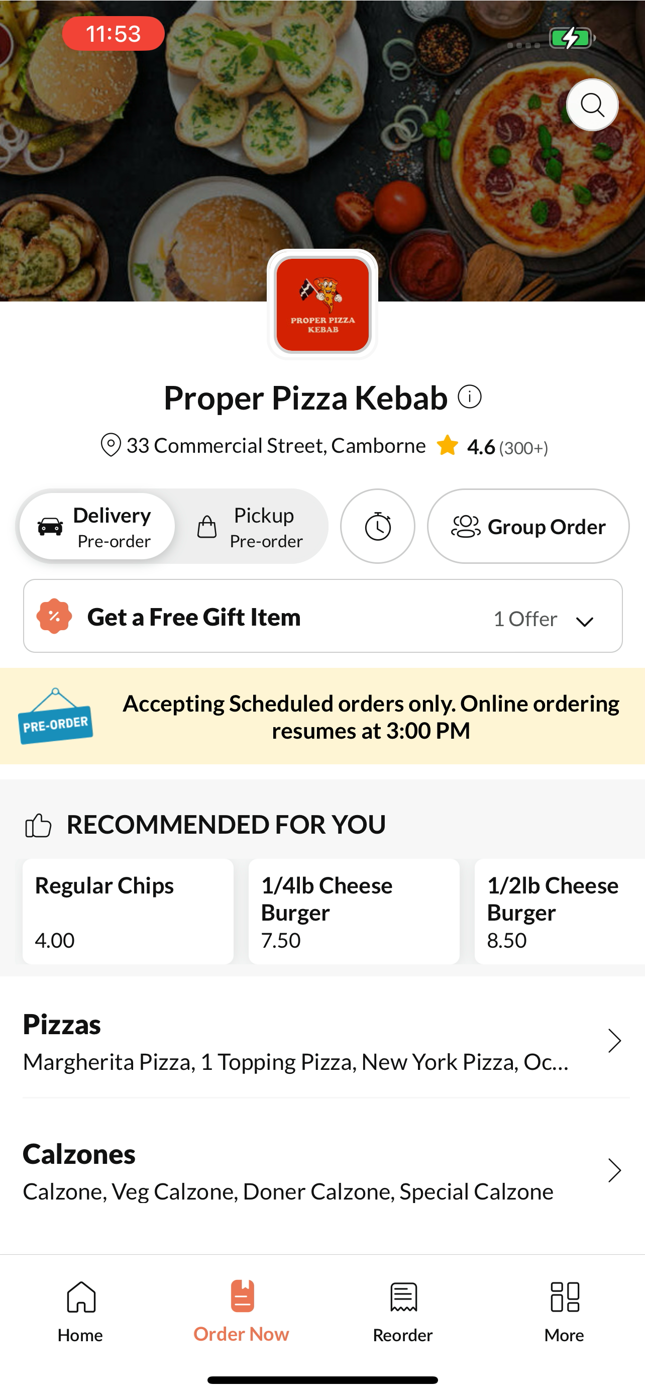 Proper Pizza Kebab screenshot 3