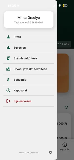 Patika ePénztár screenshot 4