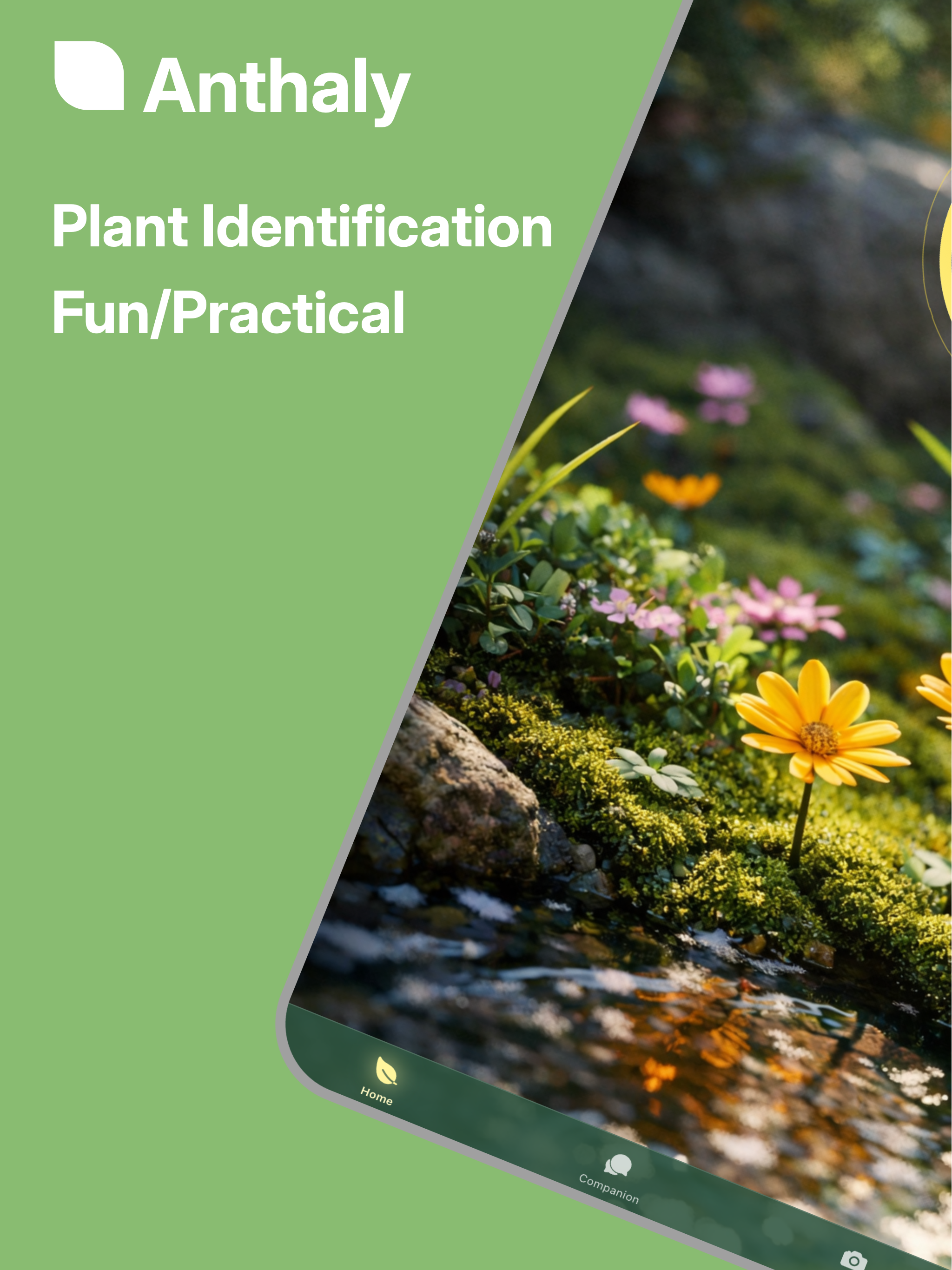Anthaly-plant identification screenshot 6