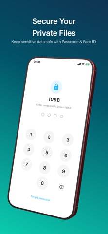 iUSB のスクリーンショット