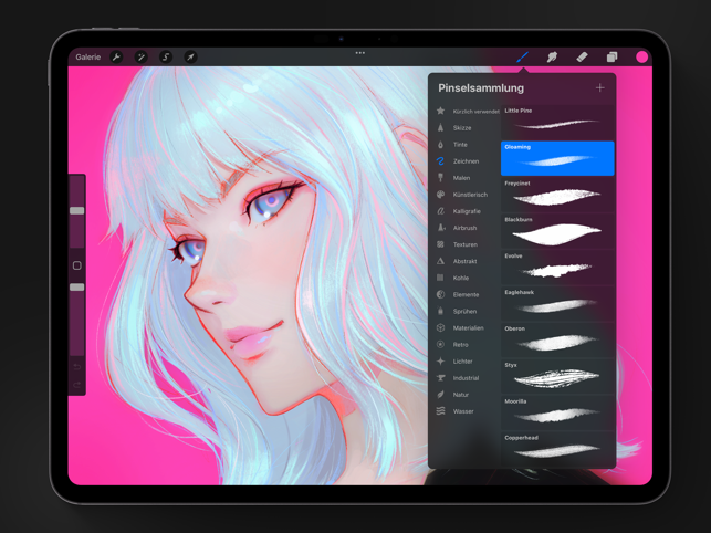 ‎Procreate Screenshot