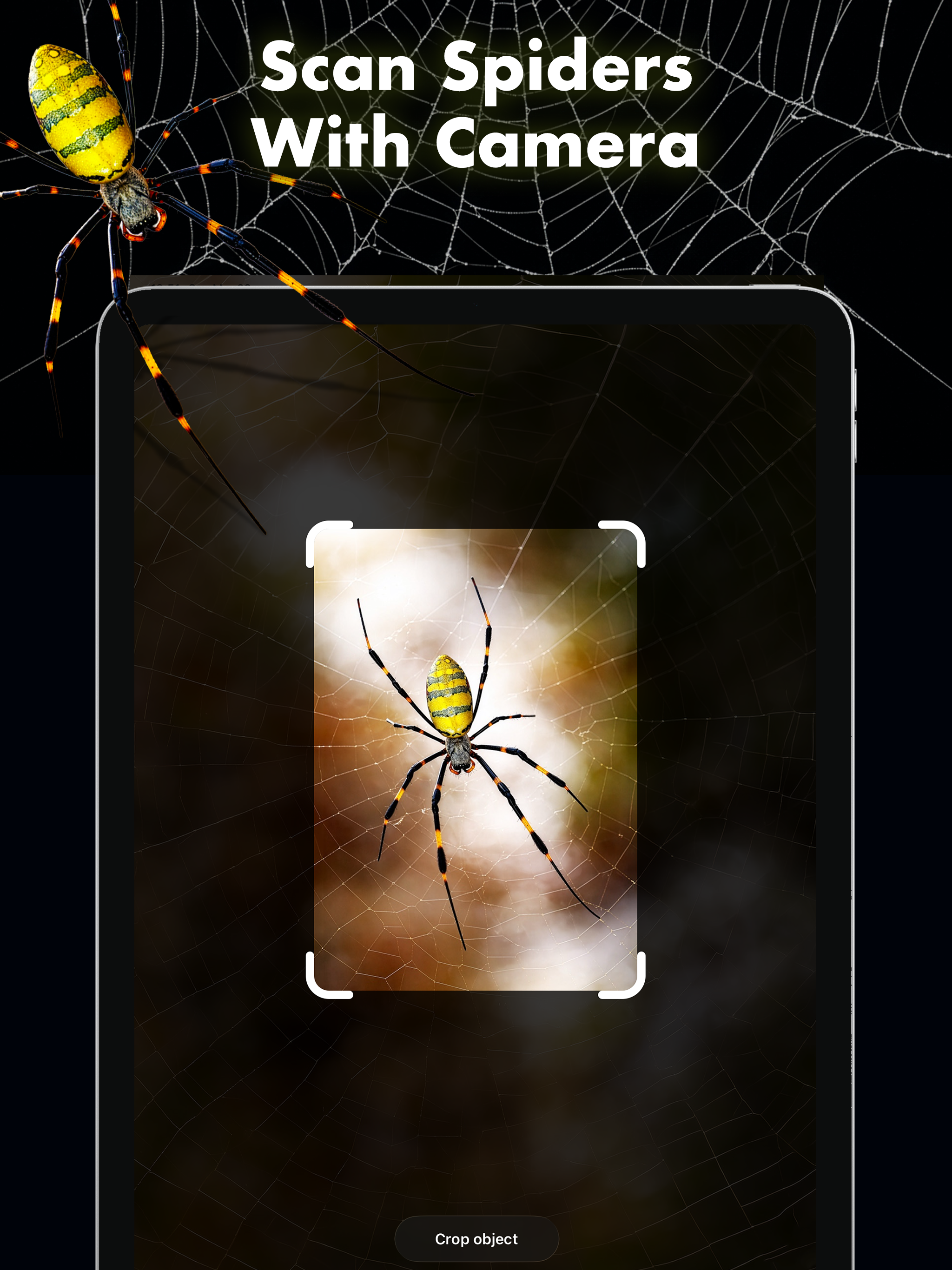 Spider Identifier: Bug Scanner screenshot 6