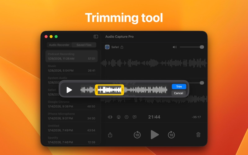 Audio Capture Pro screenshot 3