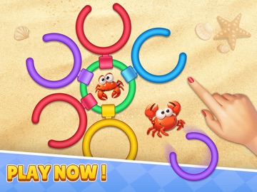 Ring Island Merge Offline iPad screenshot
