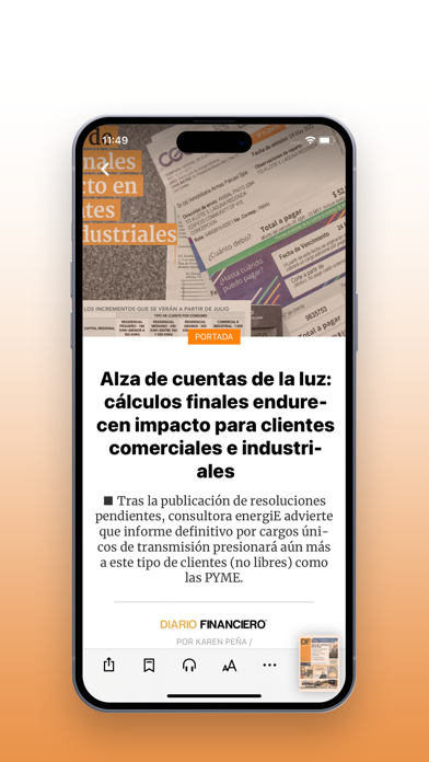 Diario Financiero Screenshot