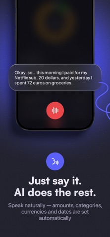 Sayve：语音记账助手 screenshot