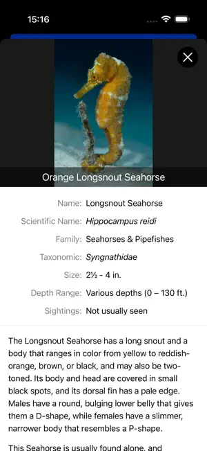 Bonaire Fish ID screenshot 4