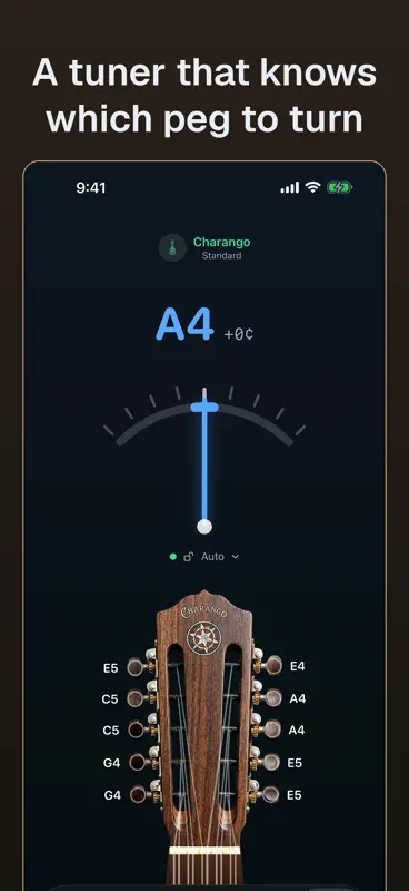 Charango: Tuner, Chords, Learn screenshot 1 of 7
