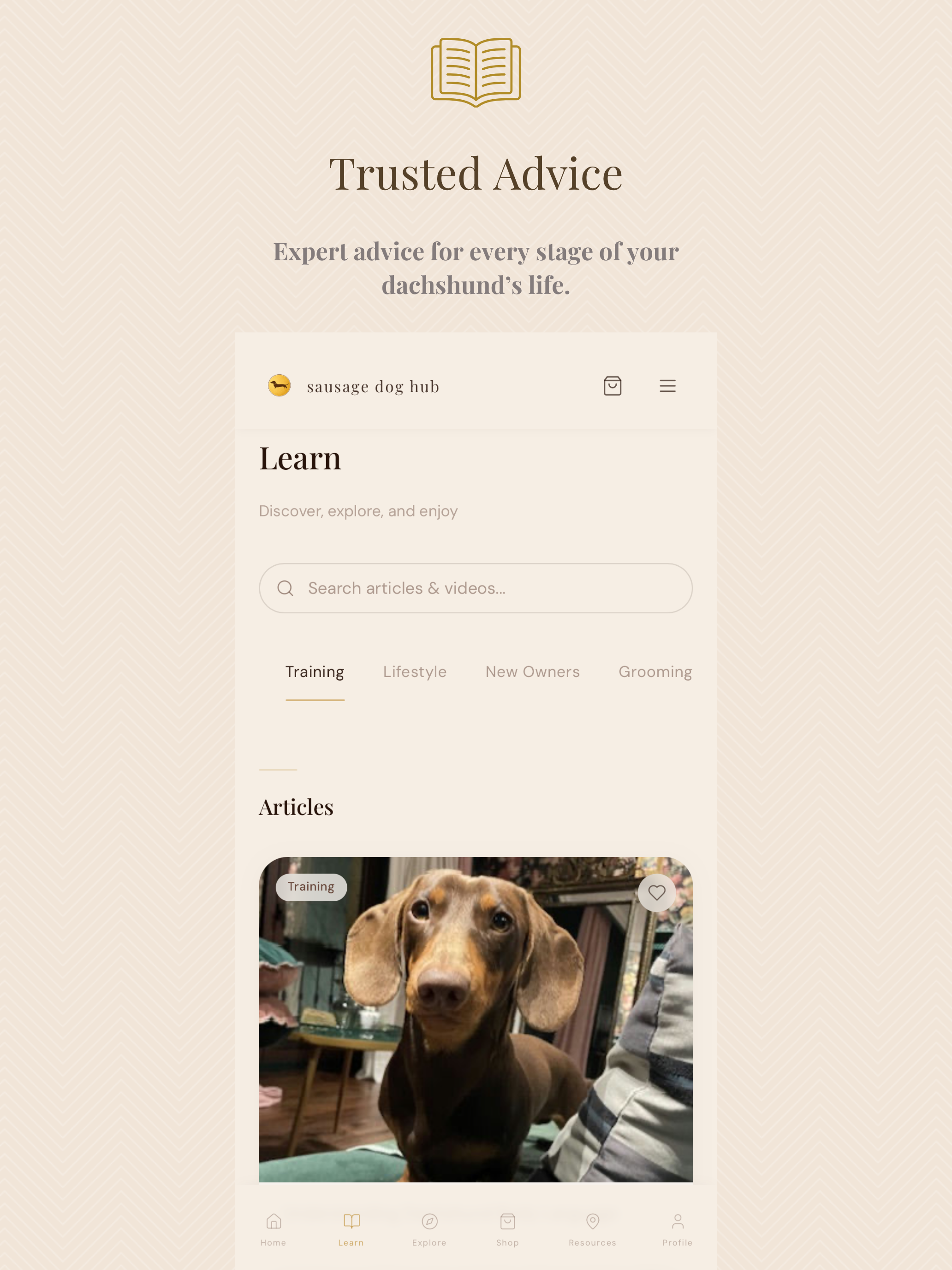 Sausage Dog Hub screenshot 9
