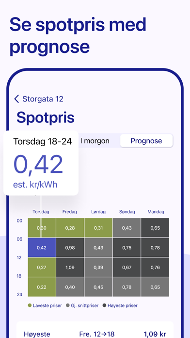 Vest-Telemark Kraftlag AS Screenshot