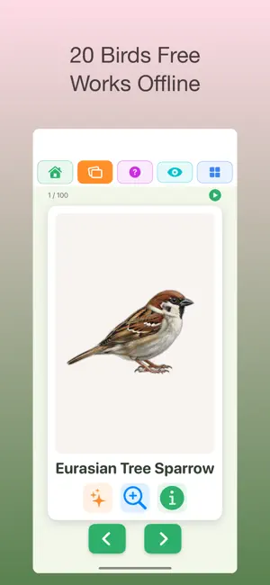 100 Japan Birds - Wild Birds screenshot 2