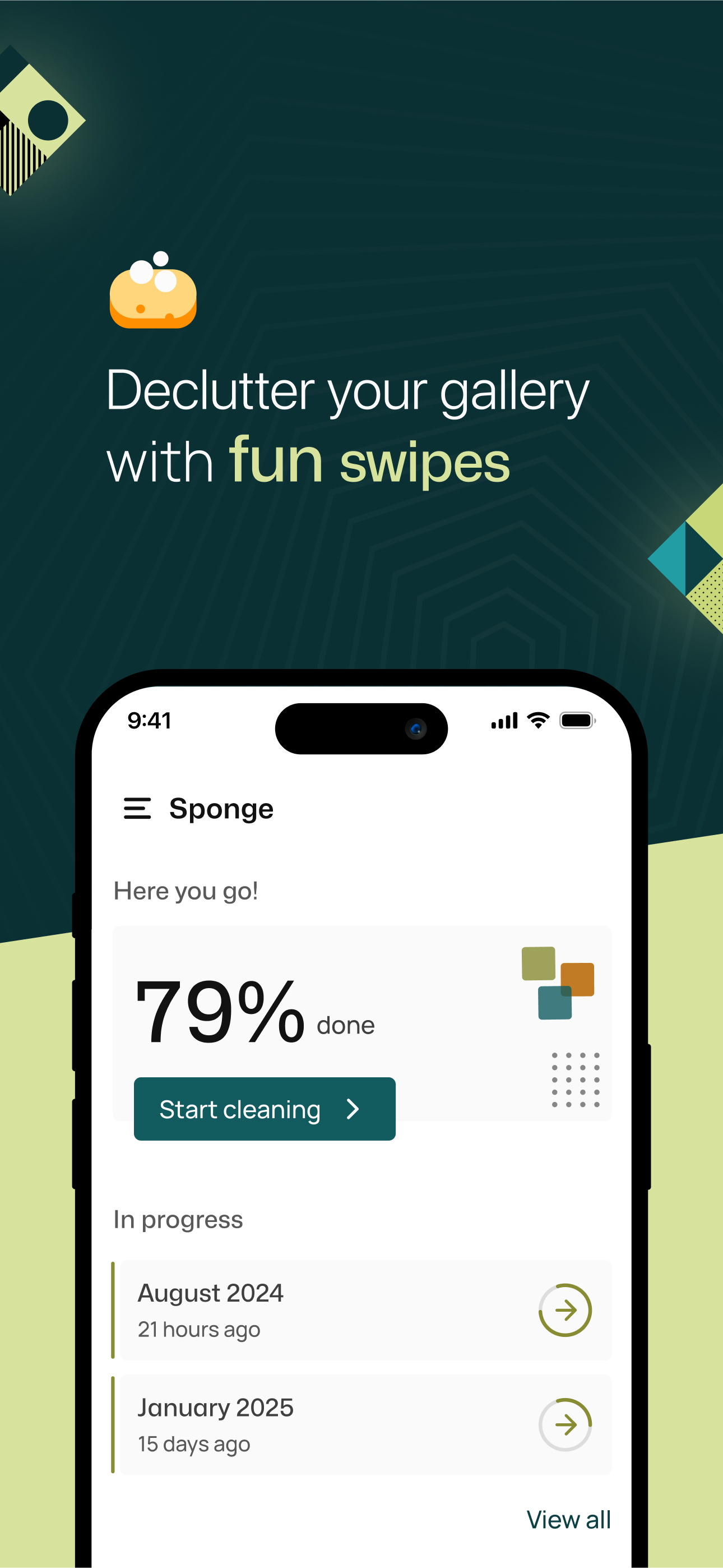 Sponge - Gallery Cleaner