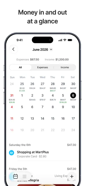 Hamoney: AI Receipt Budget App screenshot 4