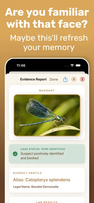 Identify Bugs - Insective screenshot 2