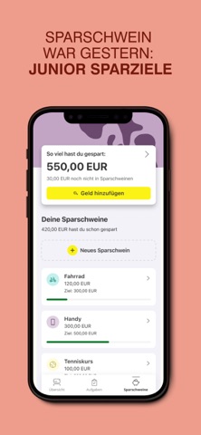 Raiffeisen JUNIOR screenshot