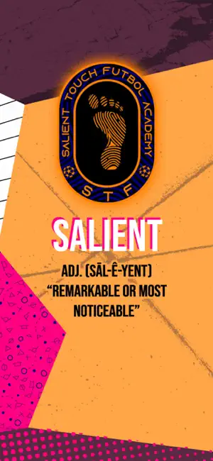 Salient Touch Futbol Academy screenshot 1