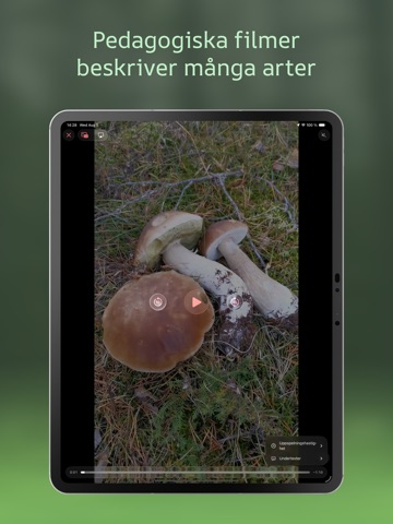 Svampguiden+ iPad screenshot 4
