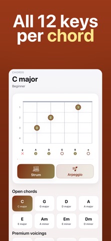 Chord Finder: Guitar Chords iPhone screenshot