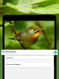 Fuglelyder – What Bird ID ipad bilder 2