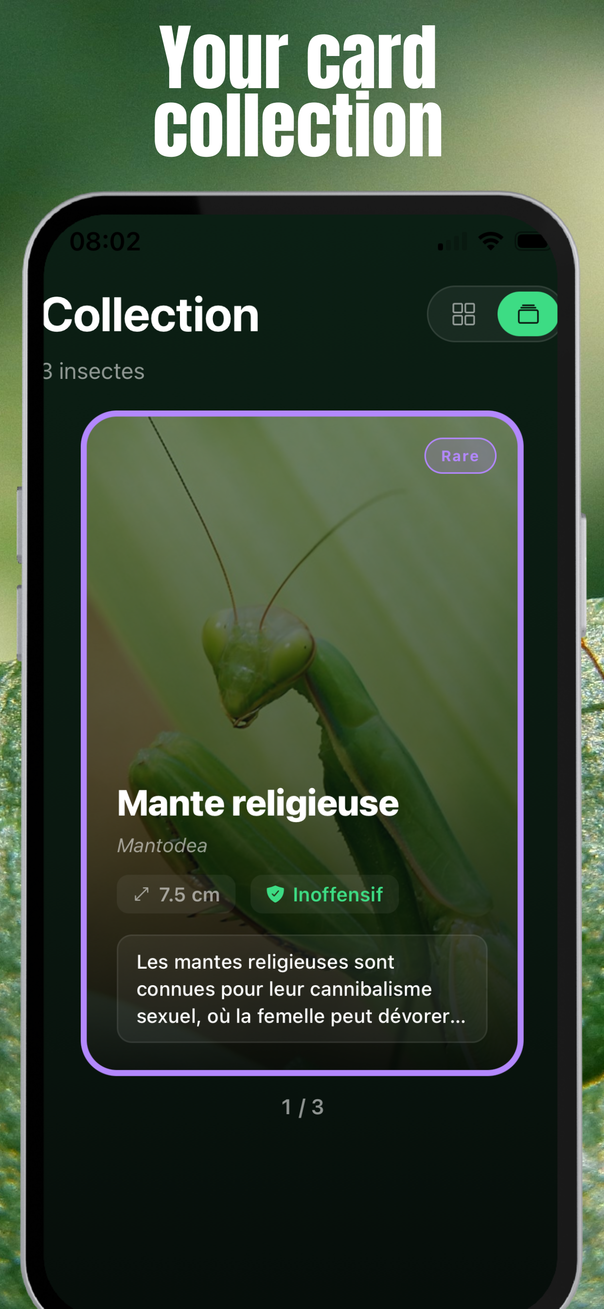 InsectDex - Insect Pokédex screenshot 3