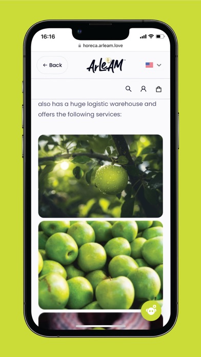 ArLeAM Business Screenshot