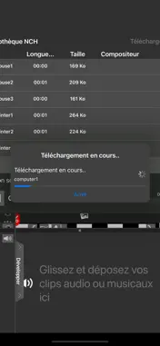 VideoPad-Professionnel screenshot 2