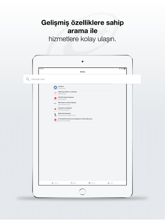e-Devlet iPad screenshot 4