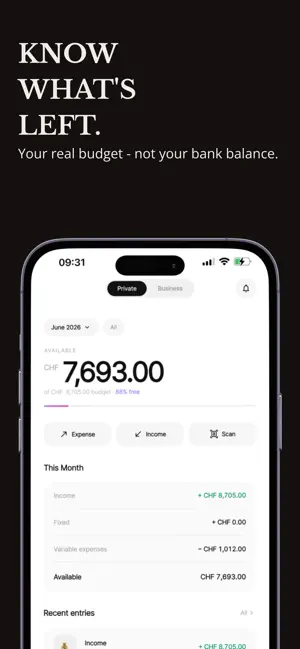 Flowly: Money & Expenses screenshot 1